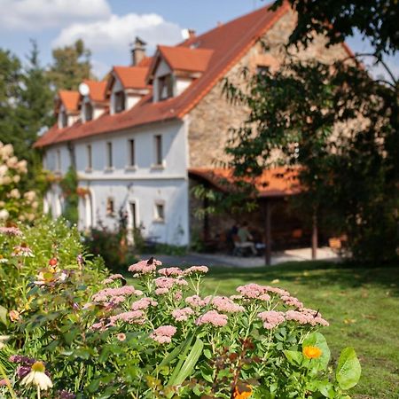 Villa Greta Świerzawa Eksteriør billede